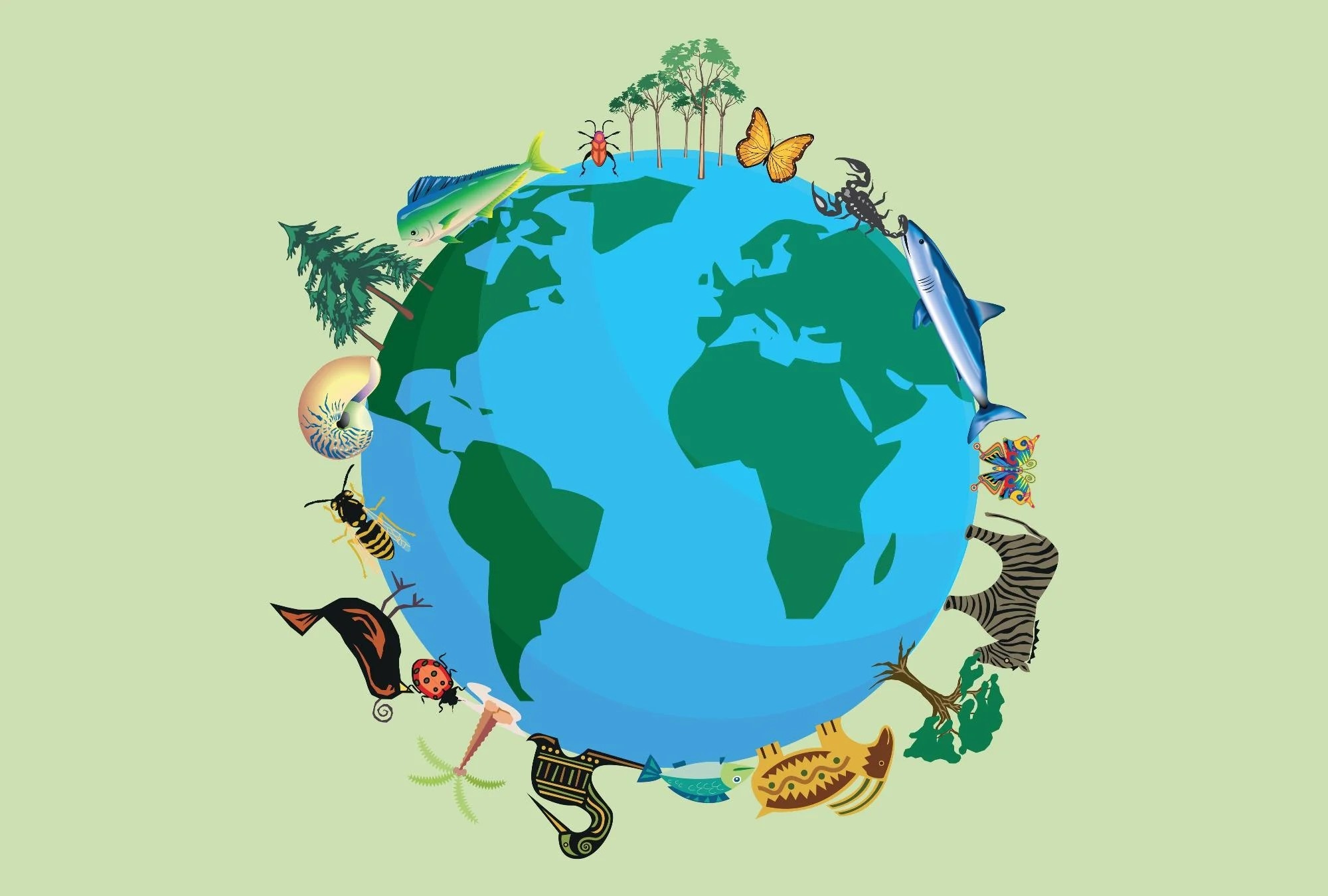 Biodiversity & Ecosystem Training