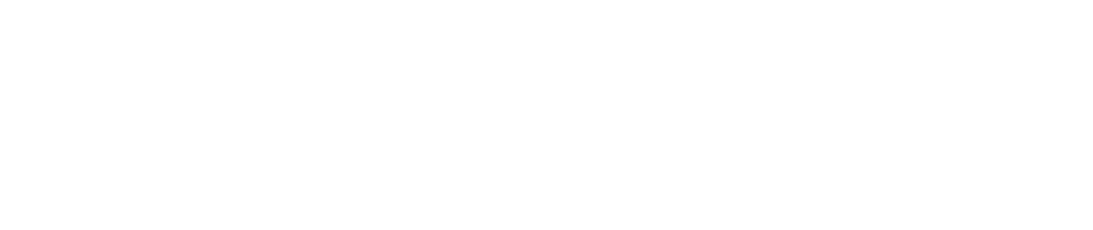 HSE India Services